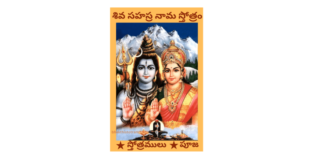 Shiva Sahasra Nama Stotram